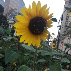 Meet your Posher, Valerie